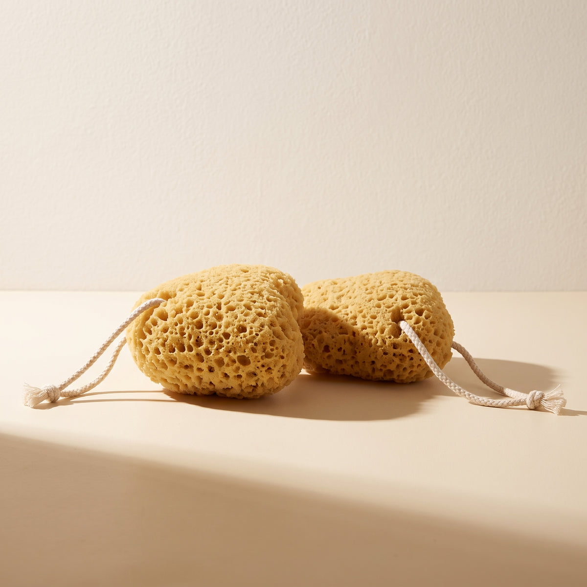 Pure Honeycomb Sponge Set