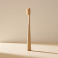 Natural Bamboo Toothbrush