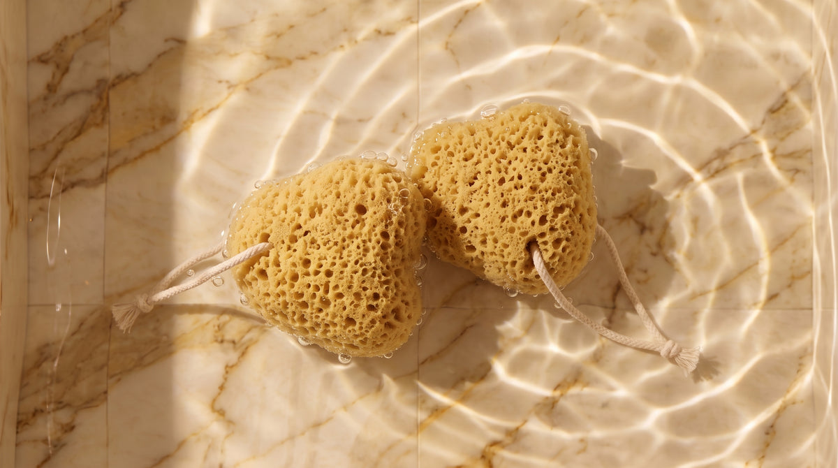 Pure Honeycomb Sponge Set