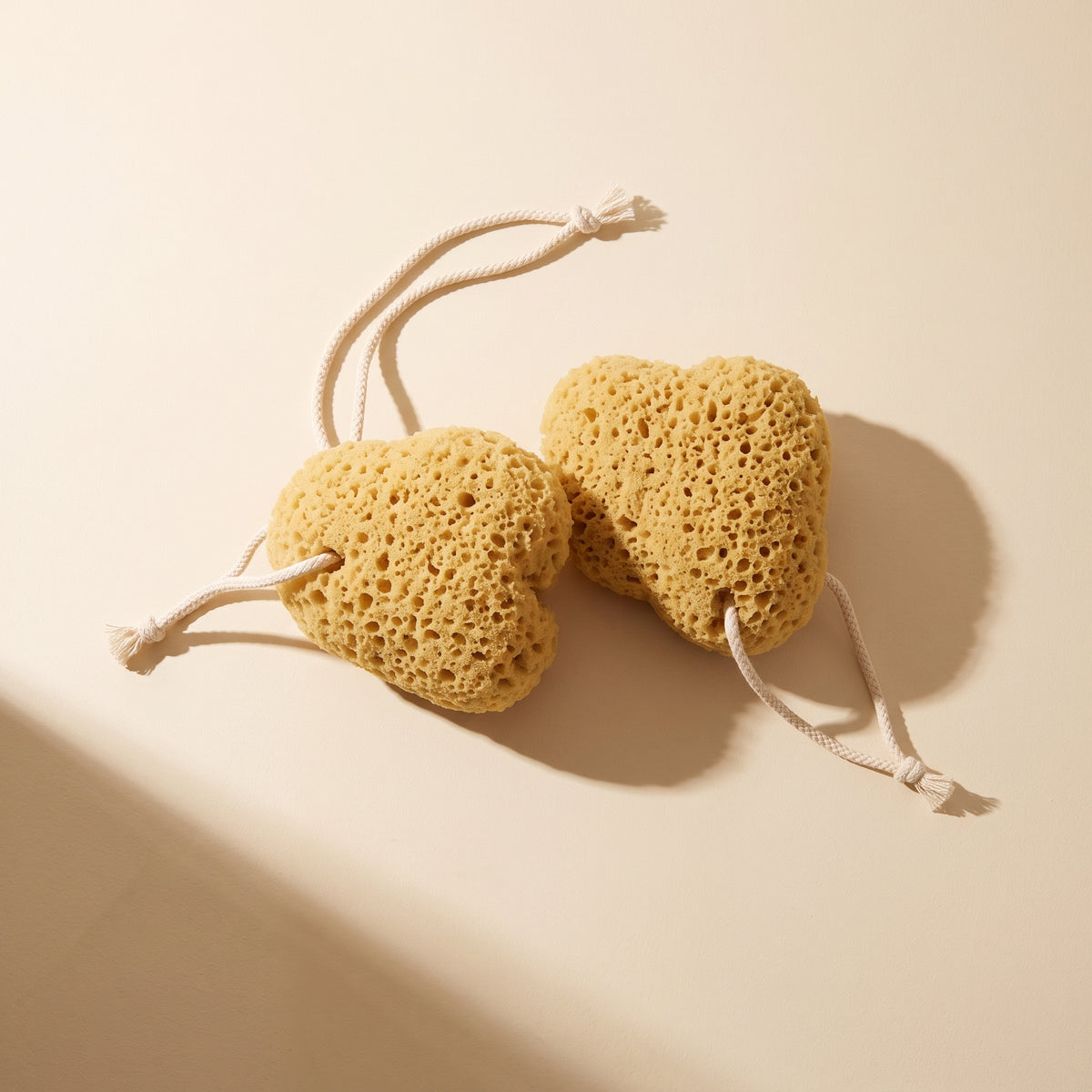 Pure Honeycomb Sponge Set